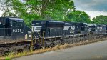 NS 1164